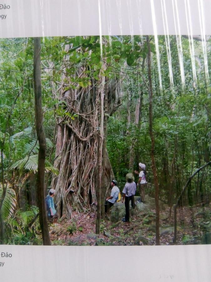 Bao Hoang Homestay Chi Khu Co Ong Buitenkant foto